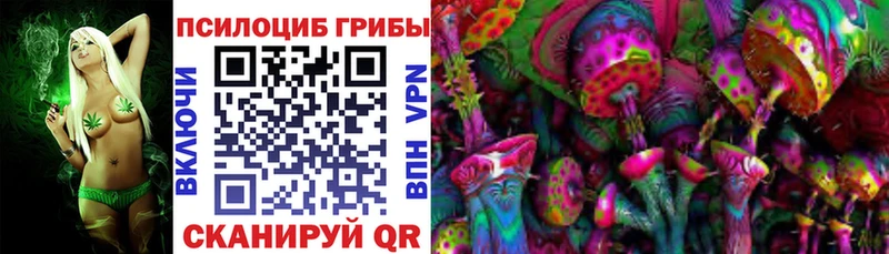 Псилоцибиновые грибы GOLDEN TEACHER  Ладушкин 