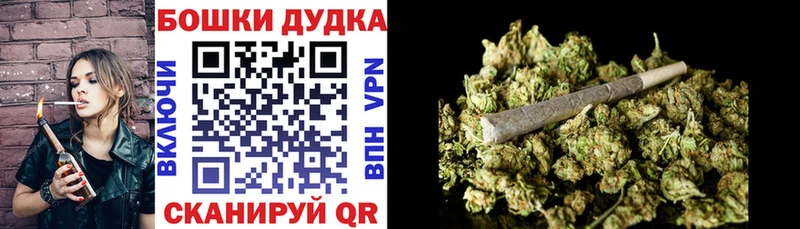 Канабис конопля  Ладушкин 